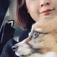 きぬほ@ひらがなにしました