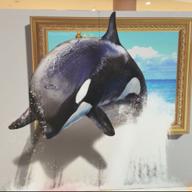 🐬junjun🐬🌸北海道