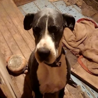 ⭐🐶陣ちゃん😽💋