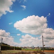 🌈❣️Toshi🍓🐻