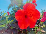 ♡癒しのヨナちゃん♡