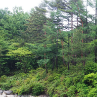 夢見がちな社会人