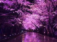 よっちゃん⚾️