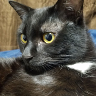 D-ta　長崎生まれ♪