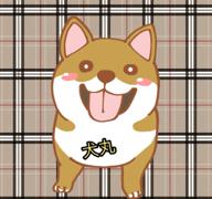 🐶犬丸🐾@高校生有名になりたい
