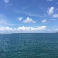 uka(🐬ドルフィン🐬)