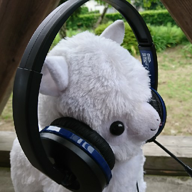 🎵南風🎙