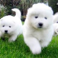 ハイサイお兄さん