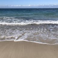 ＊マルポップ＊