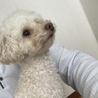 Alive弟(しょーたろー)