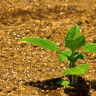 kawa🔶気まぐれに🌀