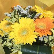 🍀Mihஐ(みほ)🍀