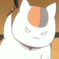 ヒメカツオブシムシ