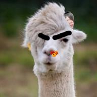 一生分のパプリカを鼻に詰めた人