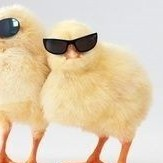 ぱとらっしゅ🎵🐶