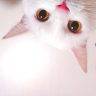 Katase🌤⛅🌥🌦🌧